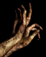 /album/galleria-fotografica/a417310-10150473331684159-279748954158-7389120-1285811828-n-jpg/
