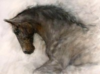 /album/galleria-fotografica/horse-jpg/