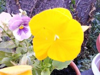 /album/galleria-fotografica/img-20120622-091032-jpg/