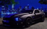 /album/galleria-fotografica/mustang-chernyj-jpg/