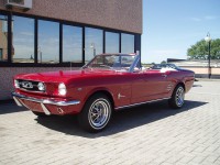 /album/galleria-fotografica/mustang-convertible-gt-jpg/
