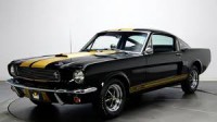/album/galleria-fotografica/mustang-jpeg/