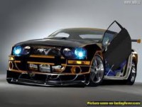 /album/galleria-fotografica/mustang-jpeg1/