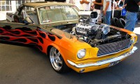 /album/galleria-fotografica/mustang-mustangs-6411631-1186-716-jpg/